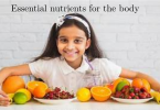 Essential nutrients for the body
